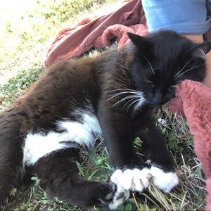 NEW ITEMS POSTED !!!!! And Lowered Prices !!!!